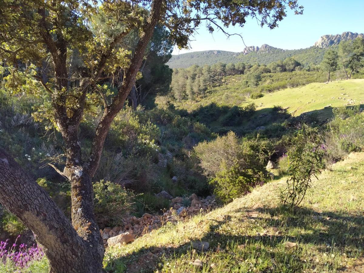 Villanueva del Duque La Romera מראה חיצוני תמונה
